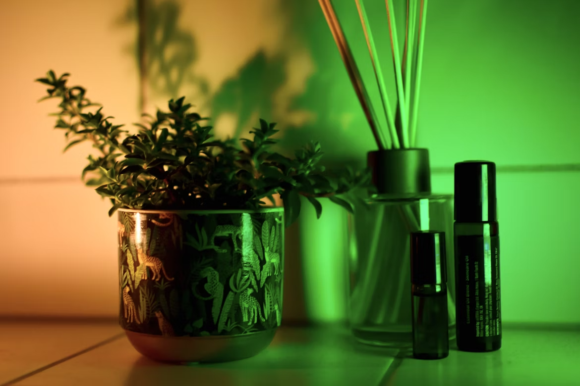 Clean Beauty: Como Investir em Startups de Beleza Sustentável e Maximizar Retornos